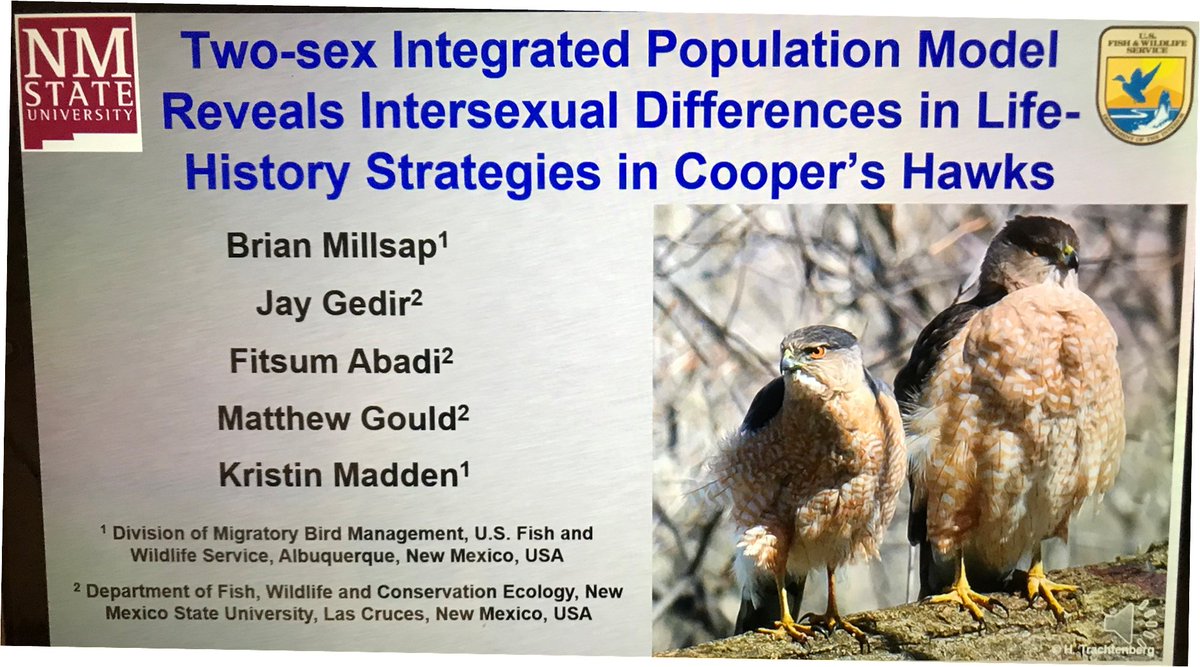 nmsu_fwce's tweet photo. NMSU has several researchers at the International Statistical Ecology Conference in Cape Town, South Africa. Dr Jay Gedir (w/ FWCE &amp; USFWS colleagues) presented results on how Integrated Population Models reveal life history strategy differences in male &amp; female raptors #ISEC2022 https://t.co/5S07Zmhoh8