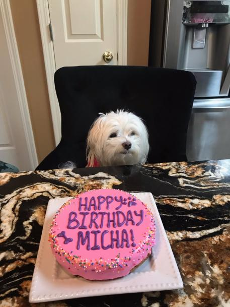 jasongts tweet media