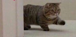 CUTTHRCTLEADER's tweet photo. @BI0L0GICHABITS // ME ON MY WAY https://t.co/kDO0YeMeXO