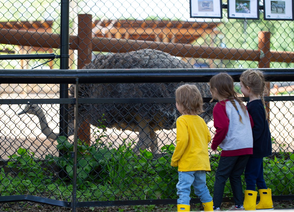 Como Friends tweet media