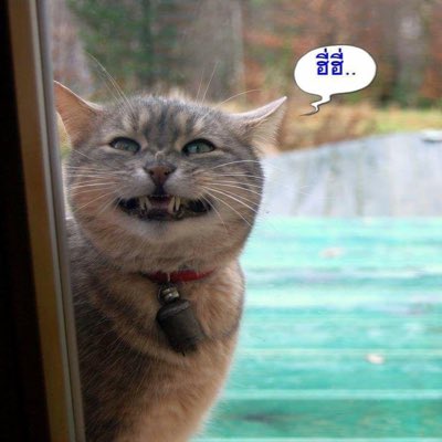 Mo_Motaro007's tweet photo. #NewProfilePic https://t.co/WhTr3sNg3D