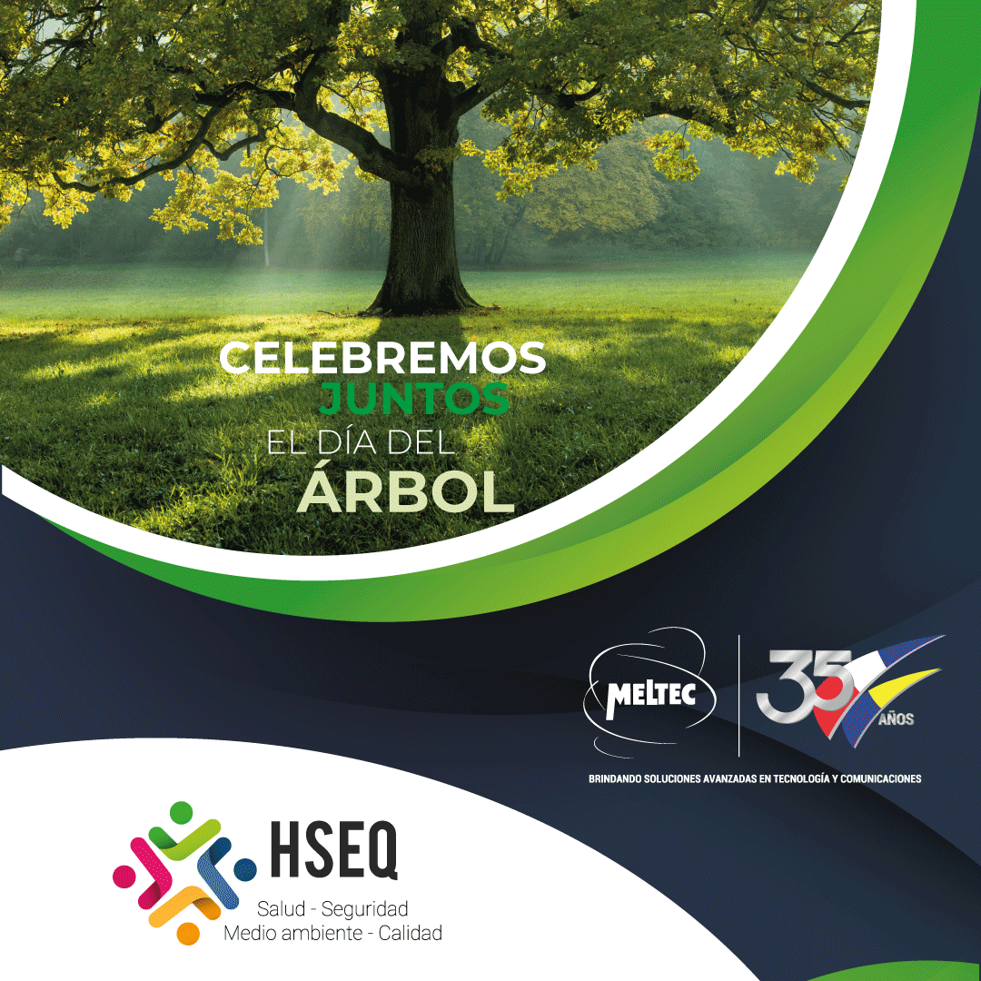 MeltecCom's tweet photo. "Planta un árbol y estarás sembrando conciencia"
¡Celebra el día del árbol creando conciencia!
.
#celebracion #diadelarbol #meltec https://t.co/KjSmGvDGop