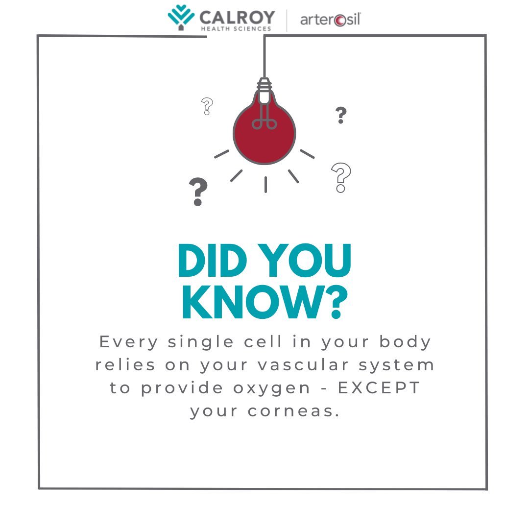 Fun fact: Did you know that every single cell in your body relies on your vascular system to provide oxygen - EXCEPT your corneas.

#funfact #didyouknow #hearthealth #artery #heart #health #cardiovascular #vascular #support #vascularsystem #egx