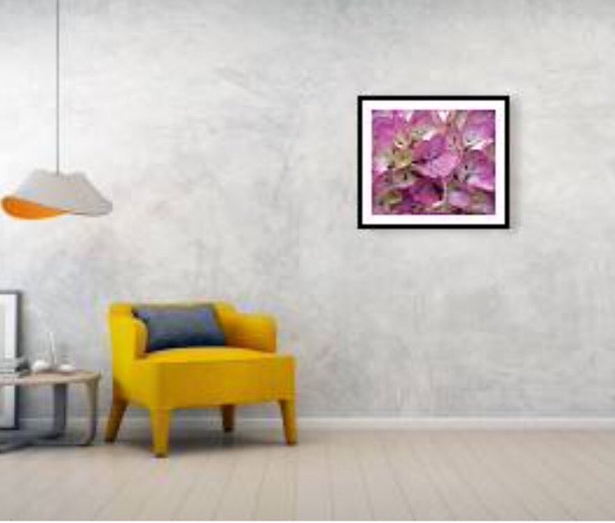 pulaskishepherd's tweet photo. “Pink Hydrangea” Framed Print

#PulaskiShepherdCo
#PSCSCo
#FineArtAmerica
#PinkHydrangea
#FramedPrint

https://t.co/j9qXzYhWog https://t.co/zVkZT2Hsqp