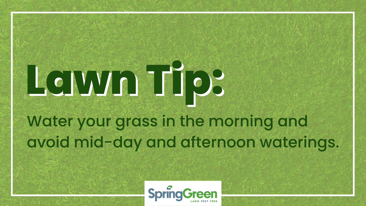 Watering at night is one of the worst things you can do to a lawn as it provides conditions for fungus to grow. It’s best to water in the morning, preferably before 10am, so that the water can soak into the soil and be absorbed by the grass roots. #TipTuesday #SGLawn #LawnCare
