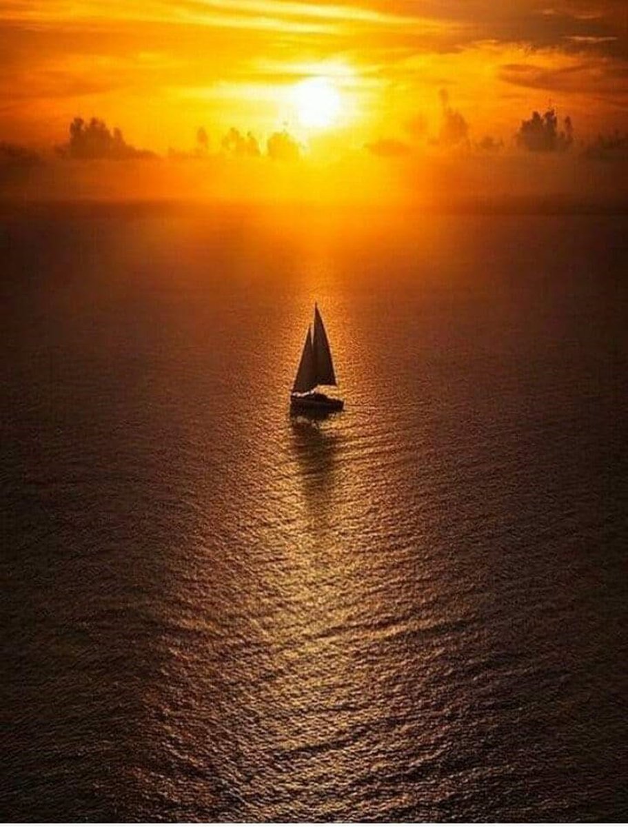 VieNatureSavoir's tweet photo. good evening 💫⛵️ https://t.co/yskFtpPiUr