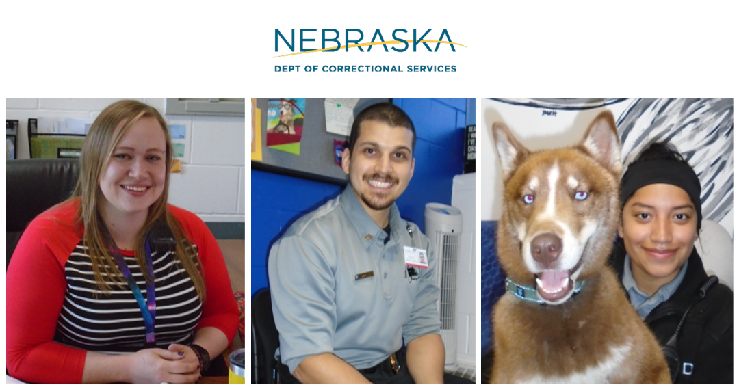NECorrections's tweet photo. Together these NDCS teammates create a positive work environment, go above and beyond to set an example, help others grow and encourage those around them to be successful in their careers!
#MakeADifference #applyforajob #stayforacareer
Full Story: https://t.co/vjqyrHesP6 https://t.co/TAQpa3XH0W