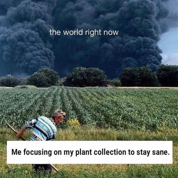 propgationation's tweet image. Accurate💛 🌿☘🌲🌻🌼🌹🏵🌸