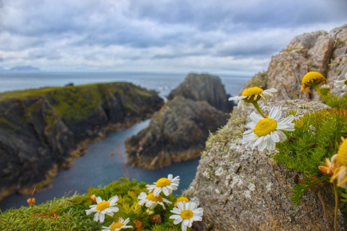 DanielDiver9's tweet photo. Beautiful Malin Head 

#ireland #WildAtlanticWay #Donegal https://t.co/RfN1IAr2vD