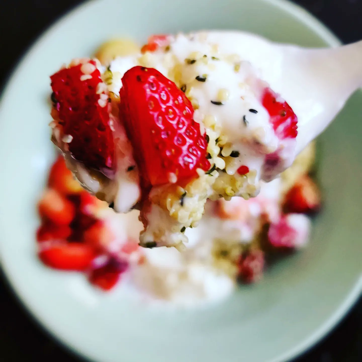 Garuda Nutrition Grind on Twitter "Bowl of Greek yogurt with hemp