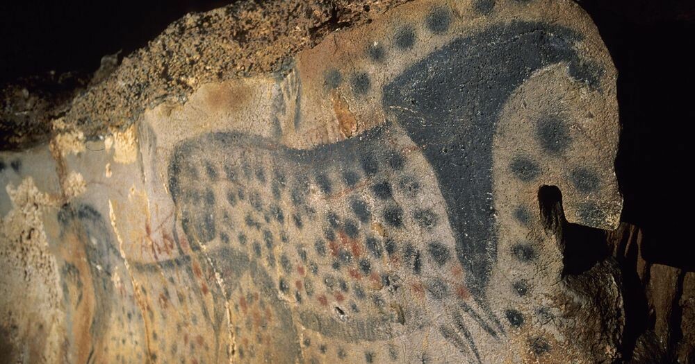 franceculture's tweet photo. Dans la grotte ornée de Pech Merle, des dessins de plus de 20 000 ans. Elle a été découverte il y a seulement 100 ans, et figurez-vous qu'elle est ouverte au public !
➡️ https://t.co/UyISplALZs https://t.co/x2qOOcnmhM