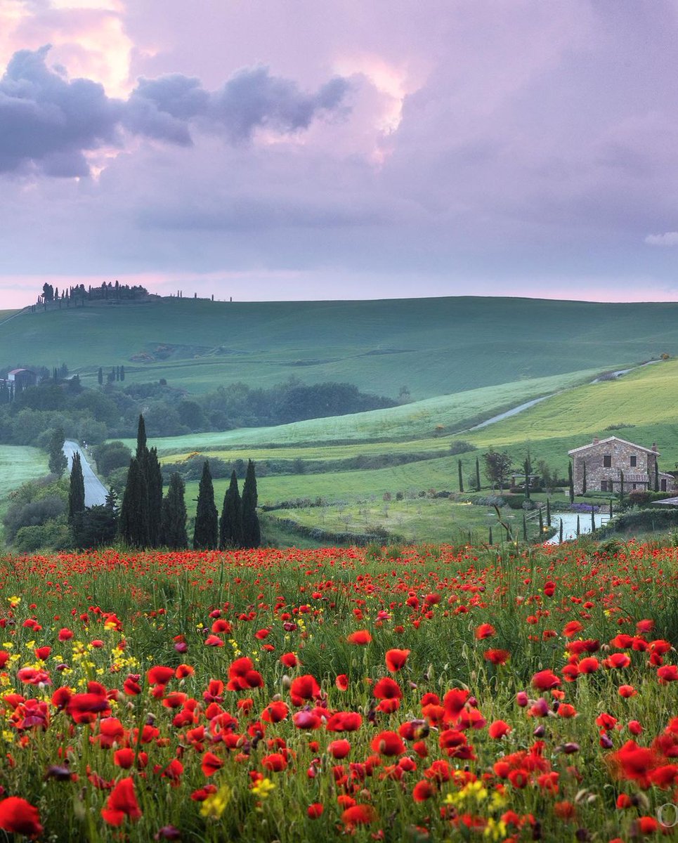 1dogaci's tweet image. 