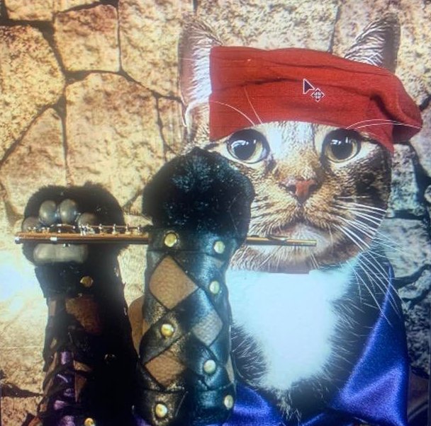 We're back at it, DnD tomorrow. Let's roll &amp; get creative. We can provide character sheets, spell cards, adventure guides if you don't feel like making your own. Everyone is welcome to hang out &amp; play games with us. Pitcher specials! 5:30pm-8:30pm.