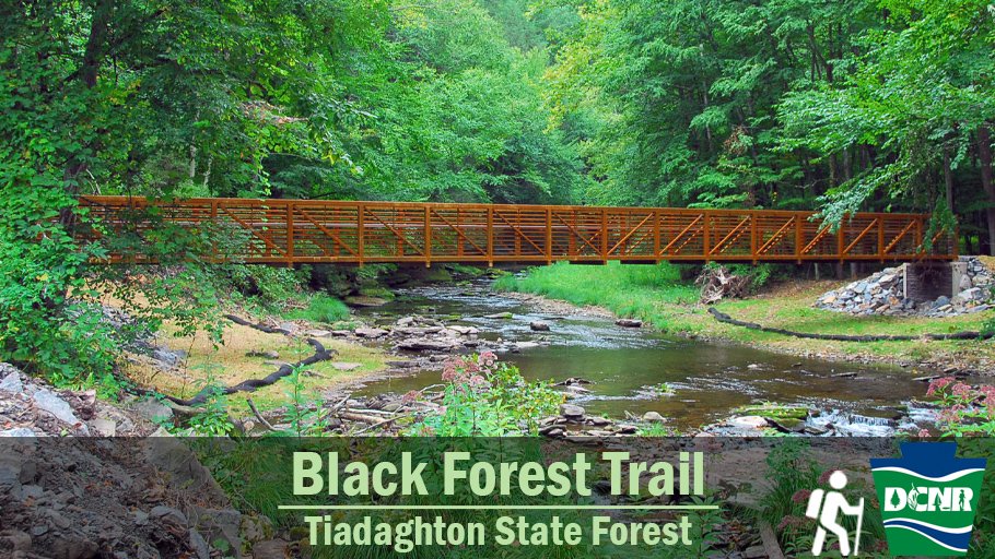 DCNRnews's tweet photo. The #BlackForestTrail was named for dark, virgin forests that originally covered the region. Backpackers traveling steep terrain are rewarded with great views of #TiogaStateForest and #TiadaghtonStateForest. Learn more ➡️ https://t.co/gHwW1eyMNb #GetOutdoorsPA #TrailTuesday https://t.co/6m1eIYiFvb