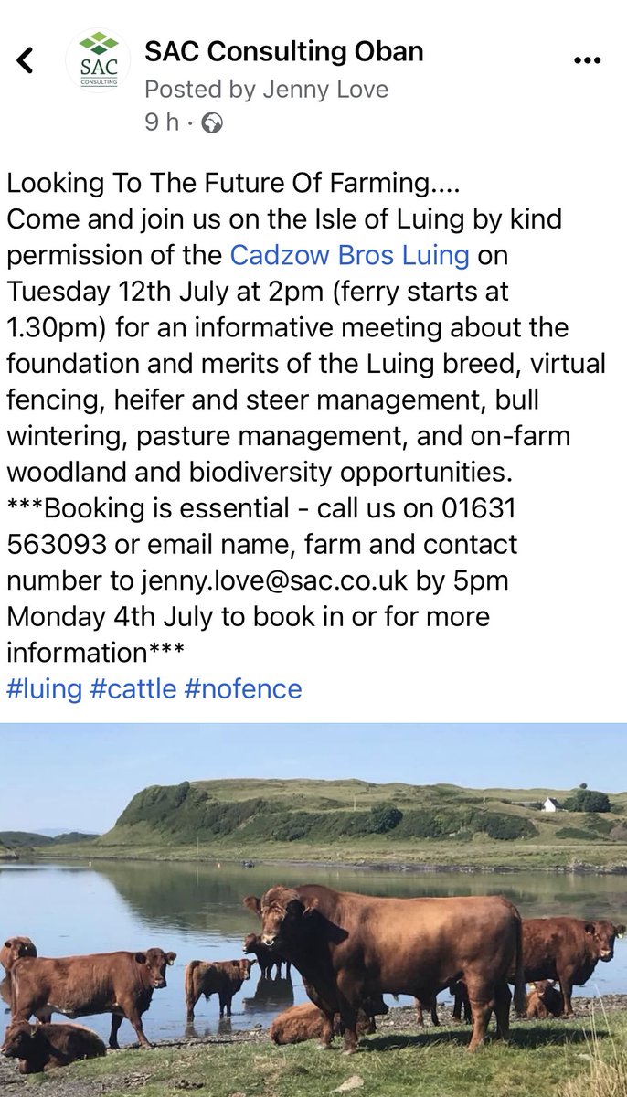 Anyone around Oban On Tuesday 12th July - join us on the Isle of Luing. Please share. #nofence #luingcattle #luing