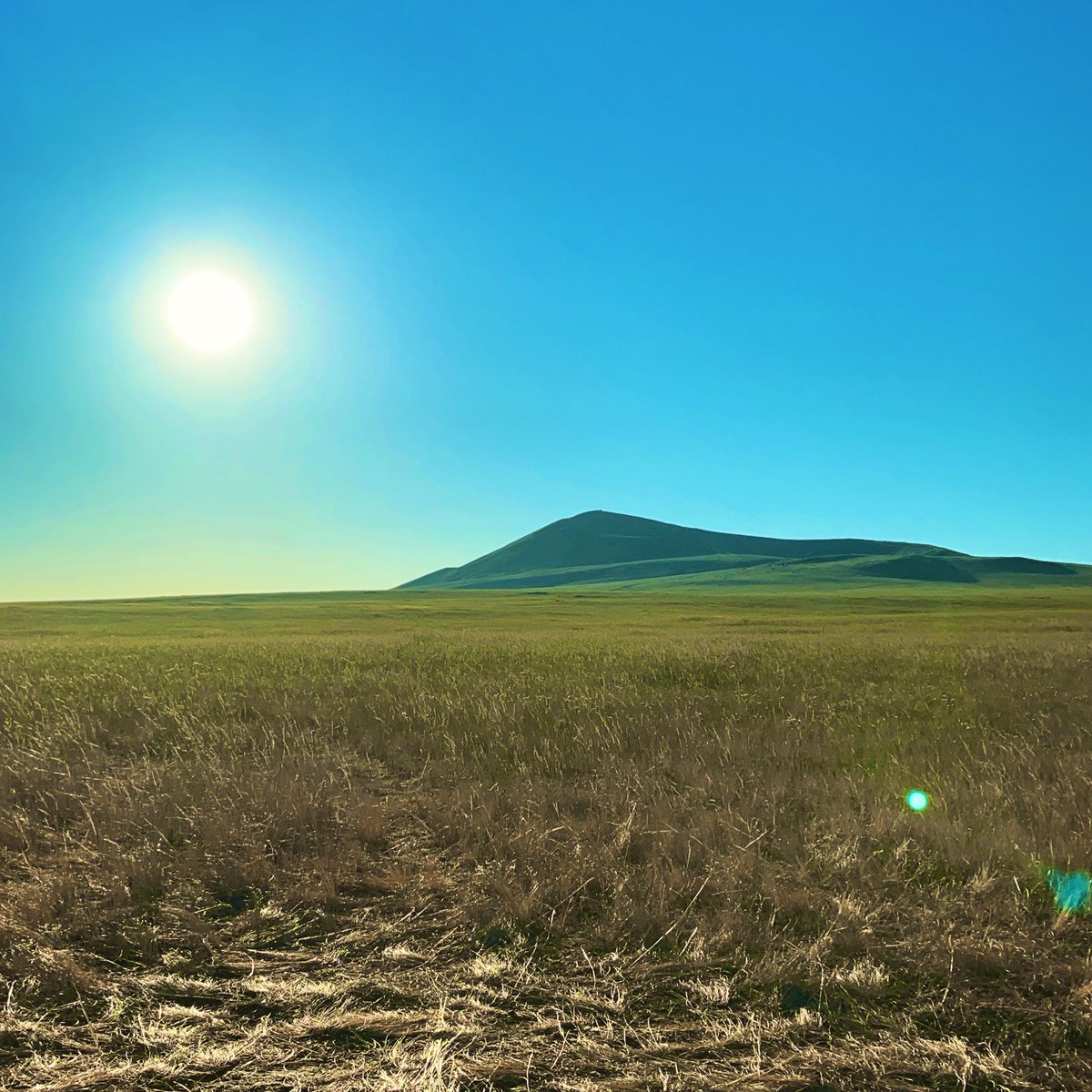 Өглөөний мэнд. Ажил үйлс бүтэмжтэй байх болтугай🙏🙏🙏