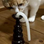 この暑さにローソクもギブアップ!？CGかと思ったら本物でした!