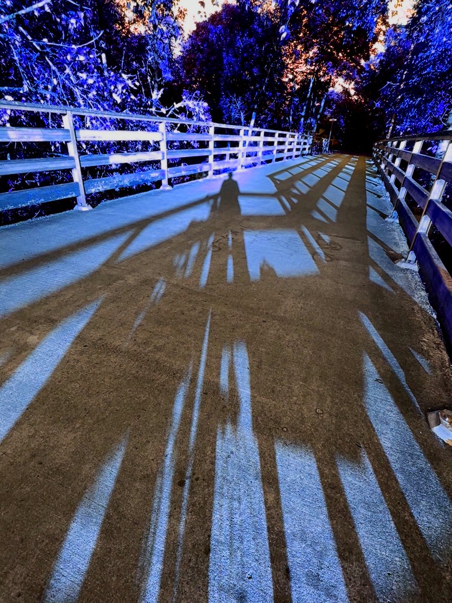 sdetroy's tweet photo. Playing with #slowshutter a second post directly from the app #blueshadows #futurenfts https://t.co/NADkOBA2zp