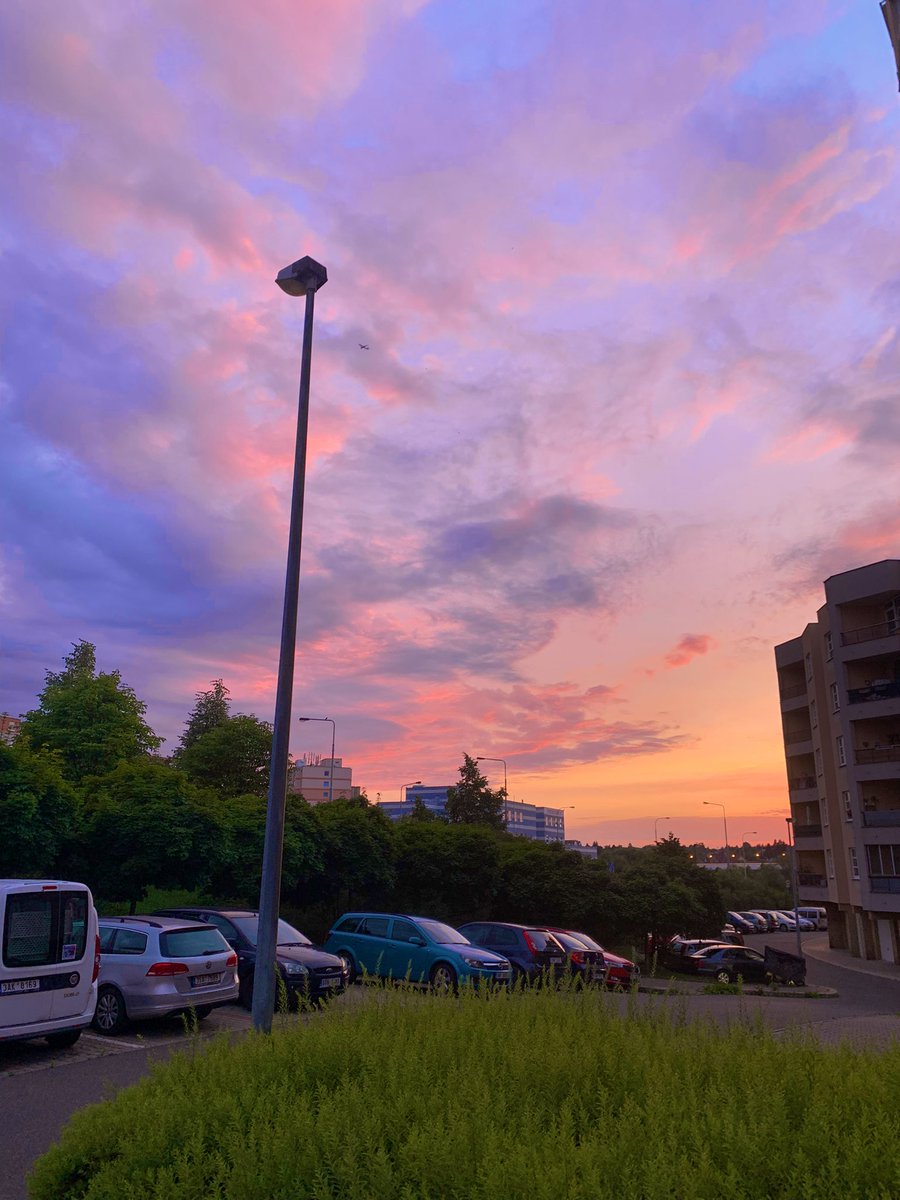 Antyčitik tweet media