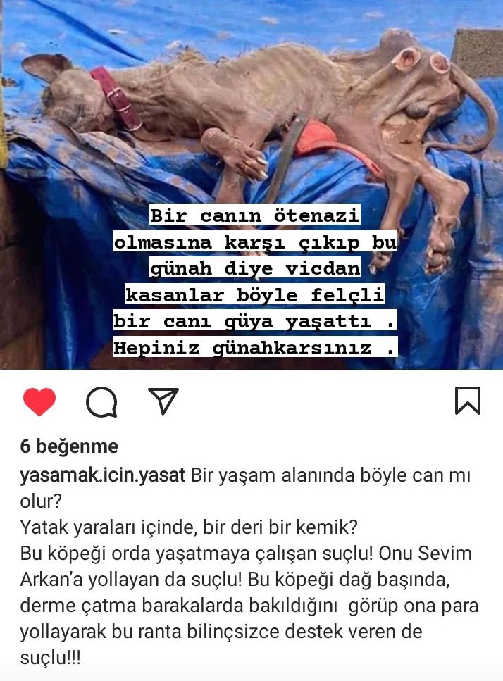 #bartındakatliamvar #sevimarkanyargılansın