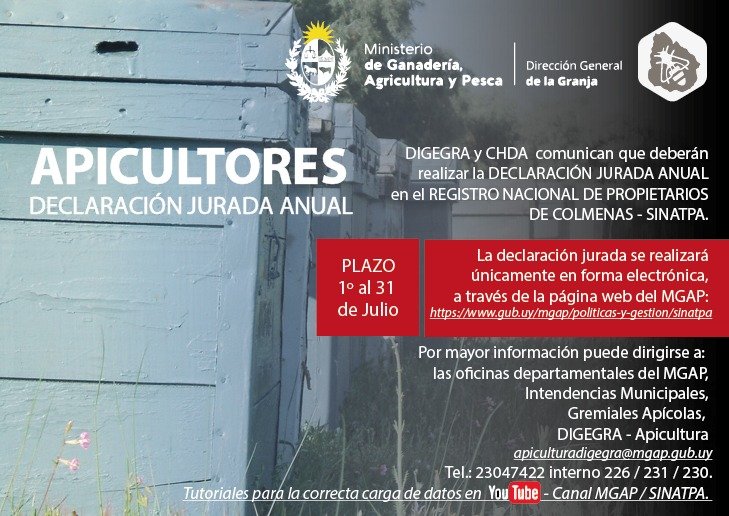 🐝🐝🐝🐝🐝
Declaración Jurada Anual Apicultores del 1° al 30 de julio.