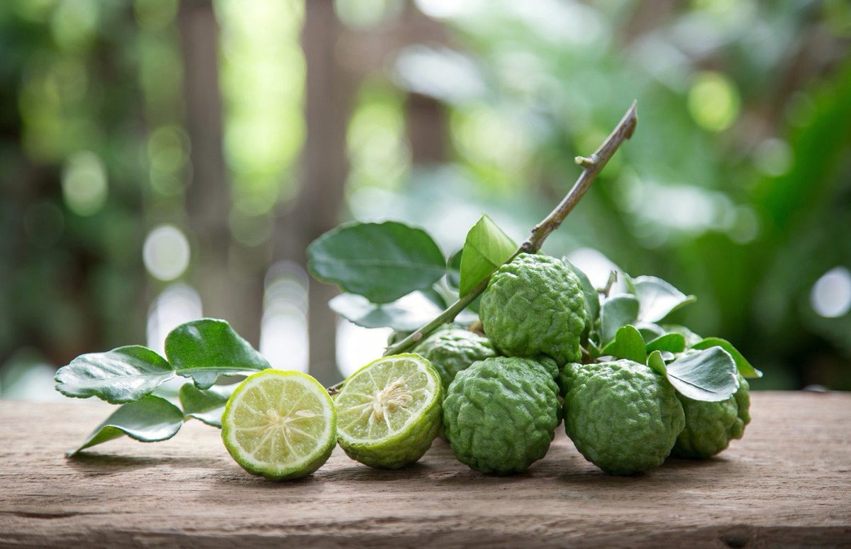 El aroma a bergamota produce una sensación reconfortante, su aceite esencial relaja el sistema nervioso, por lo que se recomienda para combatir la ansiedad, la depresión y el estrés. #DatitoLutyx

¿conoces que perfumes vendemos que tienen bergamota?