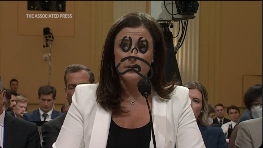 0ldManStoneZone's tweet image. #PaidToLie J6