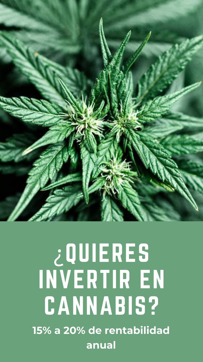 IndicaSur's tweet photo. https://t.co/AJ048GKXpo