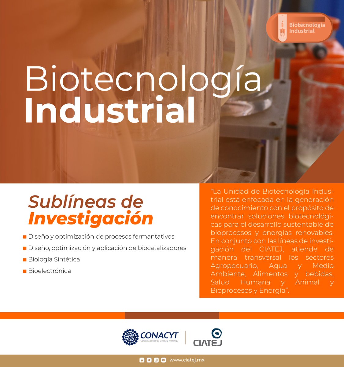 CIATEJ's tweet photo. #Conoce una de nuestras líneas de investigación del #CIATEJ 

▪️ Biotecnología Industrial 👩‍🔬👨‍🔬⚗️🔬🧪

Más información ➡ https://t.co/hEHDzjZyWF

#BiotecnologíaIndustrial #bioelectrónica #biocatalizadores #BiologíaSintética #procesosfermentativos https://t.co/3wjJqea3y1