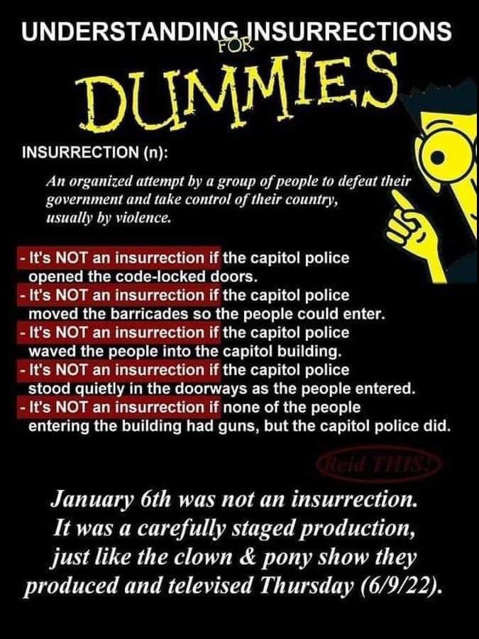 MassholeTJ's tweet photo. Not to mention it’s not an insurrection if people are taking selfie with statues. https://t.co/MqtU69Ykrn