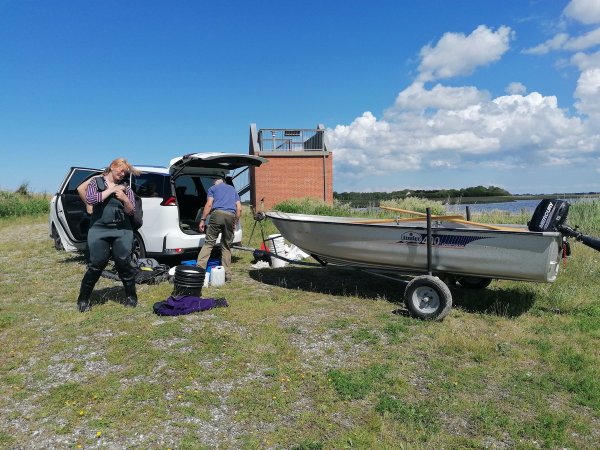 Cintia Quintana tweet media