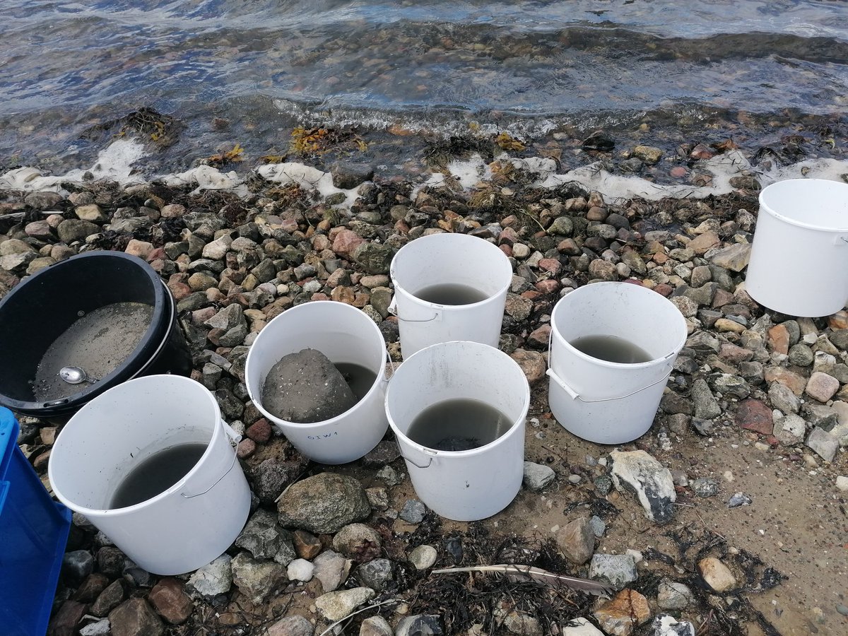 Sampling benthic fauna and sediment cores before the sand capping and stone reefs restoration <a href="/GyldensteenSDU/">Gyldensteen Coastal Lagoon, Denmark</a> 🌊🪸 happening in mid August. We are going to follow changes in biodiversity and ecological conditions. <a href="/NATsdu/">SDU Science</a>