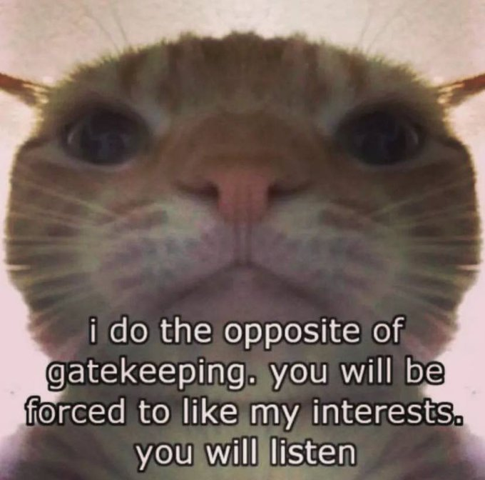 скибиди гойда Σ+ tweet media