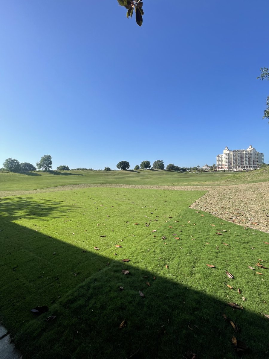 Future office views 😎 <a href="/ReunionResort/">Reunion Resort</a>