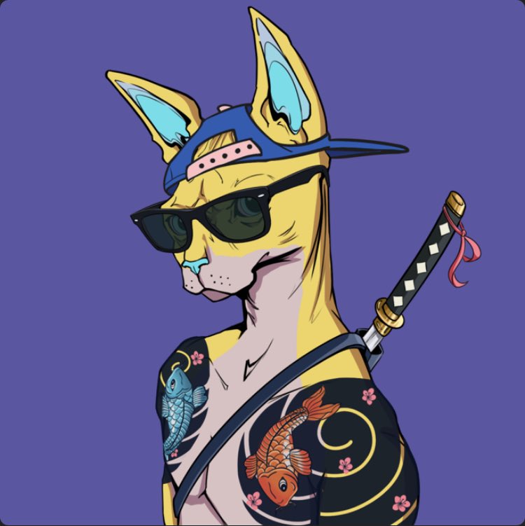 sol_sylvester_'s tweet photo. #sphynxfollowsphynx https://t.co/WOnW2ZDVuh