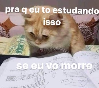 MiaAthalar's tweet photo. Toda semana de prova eu https://t.co/zgBp8Fzllr