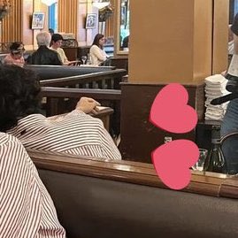 portaIbangpink's tweet photo. MIGALHAS! LISA aparece no espelho nas fotos de TAEHYUNG. O cachecol que ela levou pra viagem estava sobre a mesa. A foto deve ter sido tirada por Bogum! https://t.co/0VqZjLilQ4
