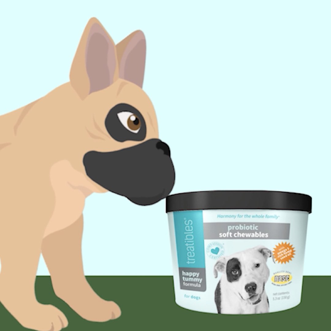 HTreatibles's tweet photo. Has your pup tried our #HappyTummy #Probiotic Soft Chewables? 🐶 These Soft Chewables are great for helping with tummy troubles! 🙌❤️🌿

Don't worry, be #happy 😁

#harmonyforthewholefamily #healthypets #vetrecommended #organic #pet #pets #petlovers #animallovers #petparent https://t.co/tvx9XBiPiM