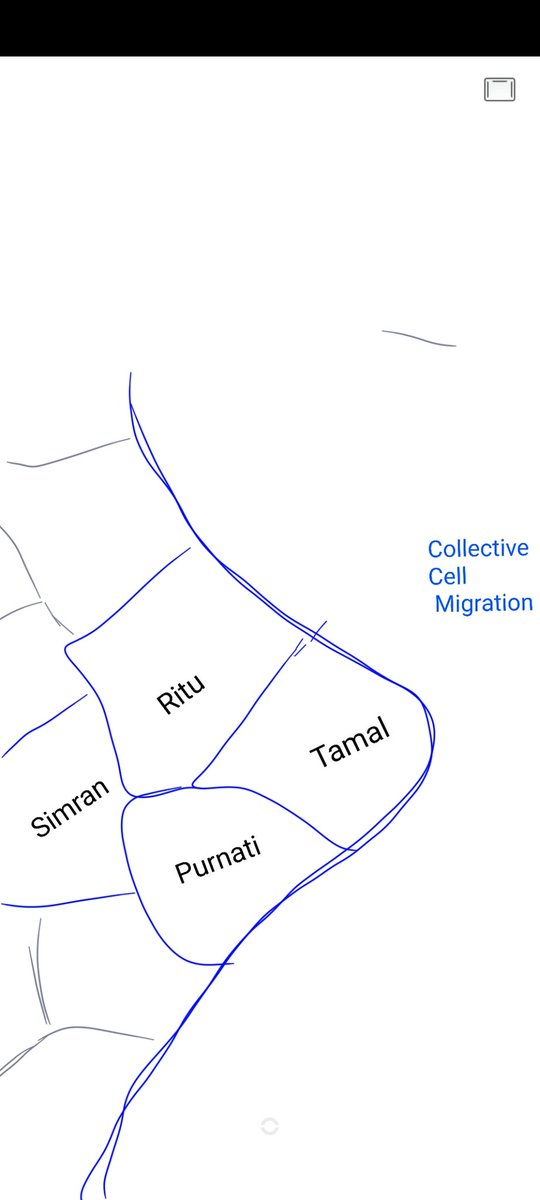 Heading into Collective cell migration..
Team work by Cell migration ladies, @marwaha_rr , @SimranRawal2 , and myself
Led by @tamal_das