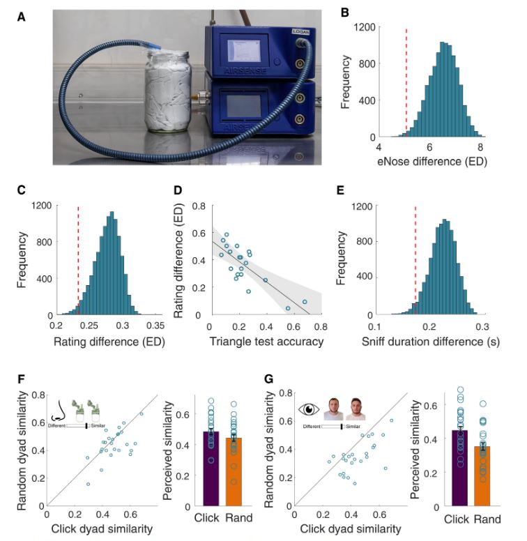 NeurosciTek's tweet photo. People may have a tendency to form friendships with individuals who have a similar #body_odor. 

An #electronic_nose relying on body odor chemistry may predict whether we are likely to 'click' with a stranger.

https://t.co/SFYGJuzzjO

@IRavreby, #Kobi_Snitz, &amp; #Noam_Sobel https://t.co/06NcSn0ofi