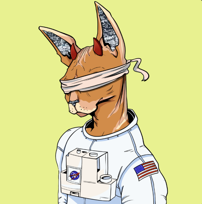 ncro92065408's tweet photo. The mint is slow and still available, the design is amazing, the team looks solid, roadmap also!
It makes me think of some projects that are high now.
Let's see how it goes in the future! 💪
Sphynx follow sphynx?
@TheSphynxUS  #NYAW https://t.co/WTKBDmtNgs