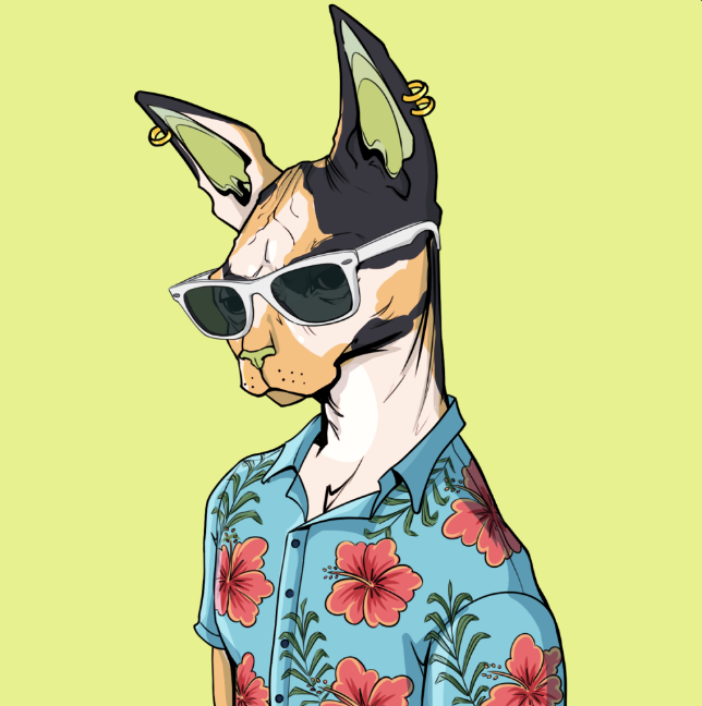 ncro92065408's tweet photo. The mint is slow and still available, the design is amazing, the team looks solid, roadmap also!
It makes me think of some projects that are high now.
Let's see how it goes in the future! 💪
Sphynx follow sphynx?
@TheSphynxUS  #NYAW https://t.co/WTKBDmtNgs