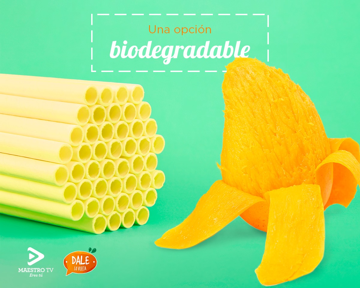 Dale La Vuelta te recomienda siempre buscar formas de ayudar al medio ambiente. 🙌🌱
El popote de cáscara de mango y baba de nopal ¡es una excelente opción!🥤🌵