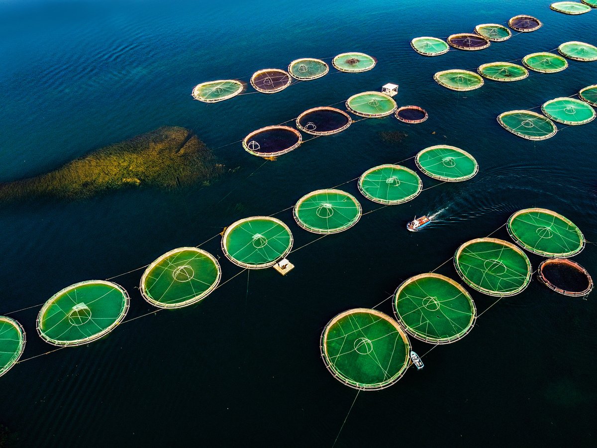 Good Night dear family💫✌️🤍
#NFTs #NFT #NFTCommmunity #dronephotography #drone