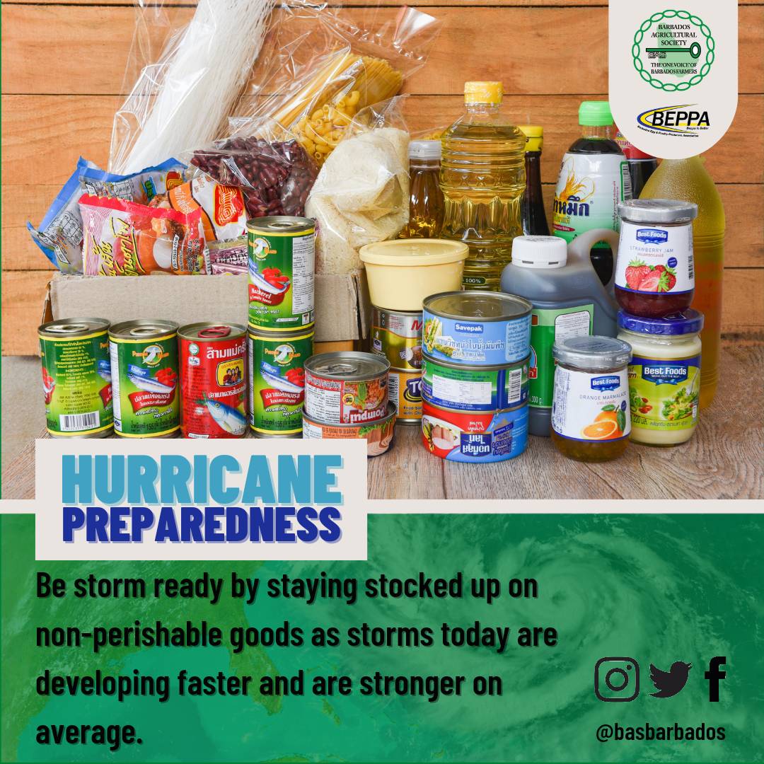 basbarbados's tweet photo. Get storm ready and stay storm ready this hurricane season.  #basbarbados #beppa https://t.co/ZHgtkAgr3U