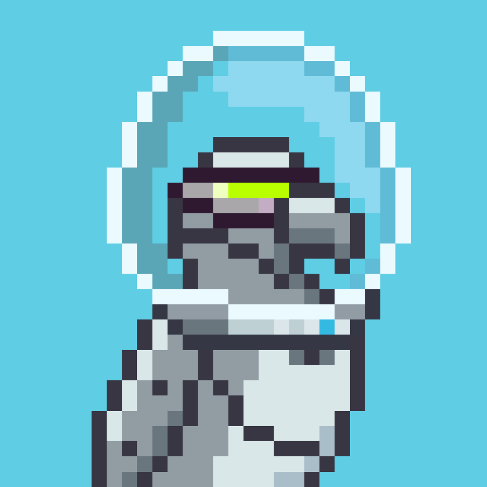 Parrots 🦜 tweet media