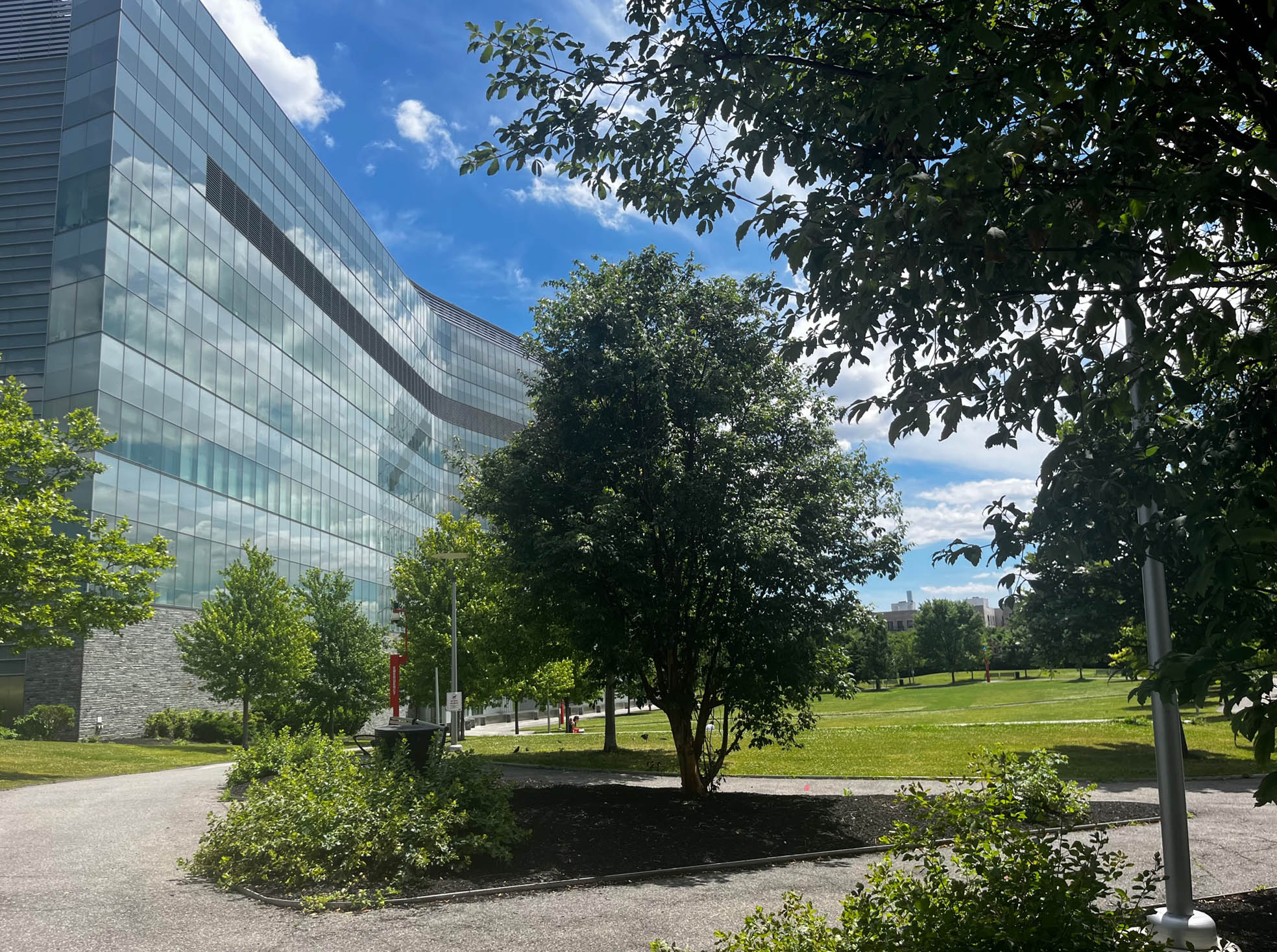 Ronald Koder (@RonaldKoder) / Twitter