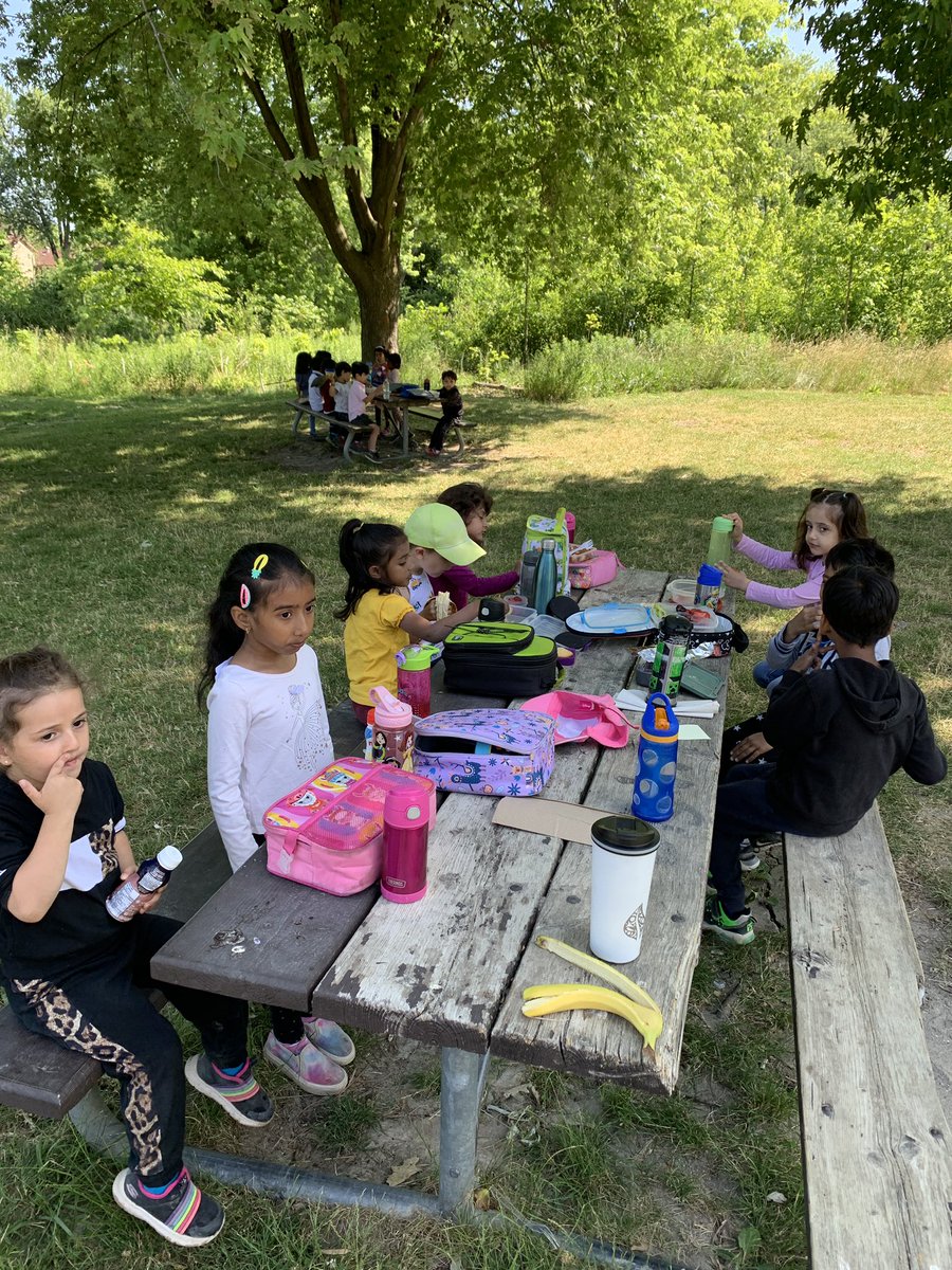 Amazing day to stay outside and have a picnic 💚💙