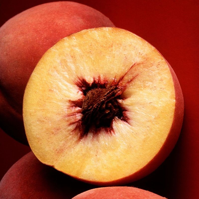 South Carolina State Museum on Twitter "While may be known as