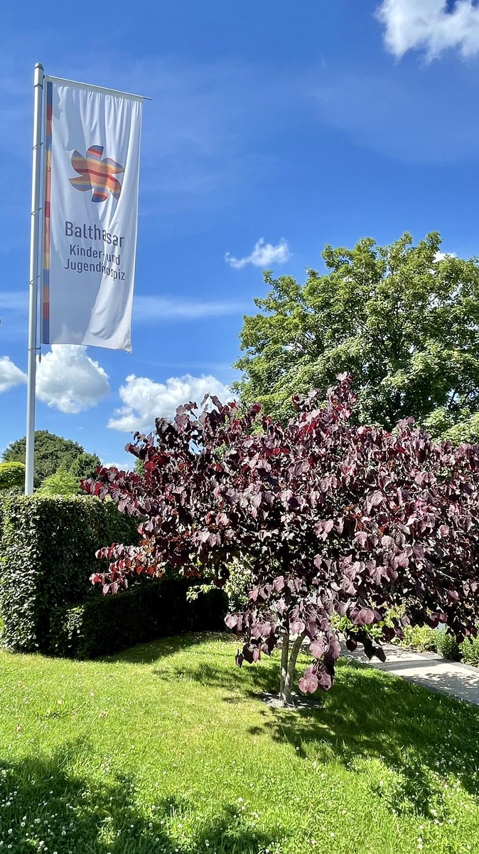 hopfElektronik's tweet photo. On the occasion of our #50YearsAnniversary, it was particularly important to us to support the outstanding work of the children and youth hospice Balthasar by collecting donations at the celebration. Thank you to all staff and guests for the generous donations doubled by #hopf! https://t.co/0iTnsOgv5M